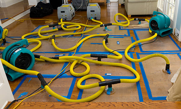 Professional Water Damage Repair technician working in Palo Pinto, TX